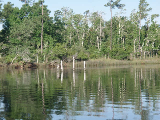 Ingram Bayou